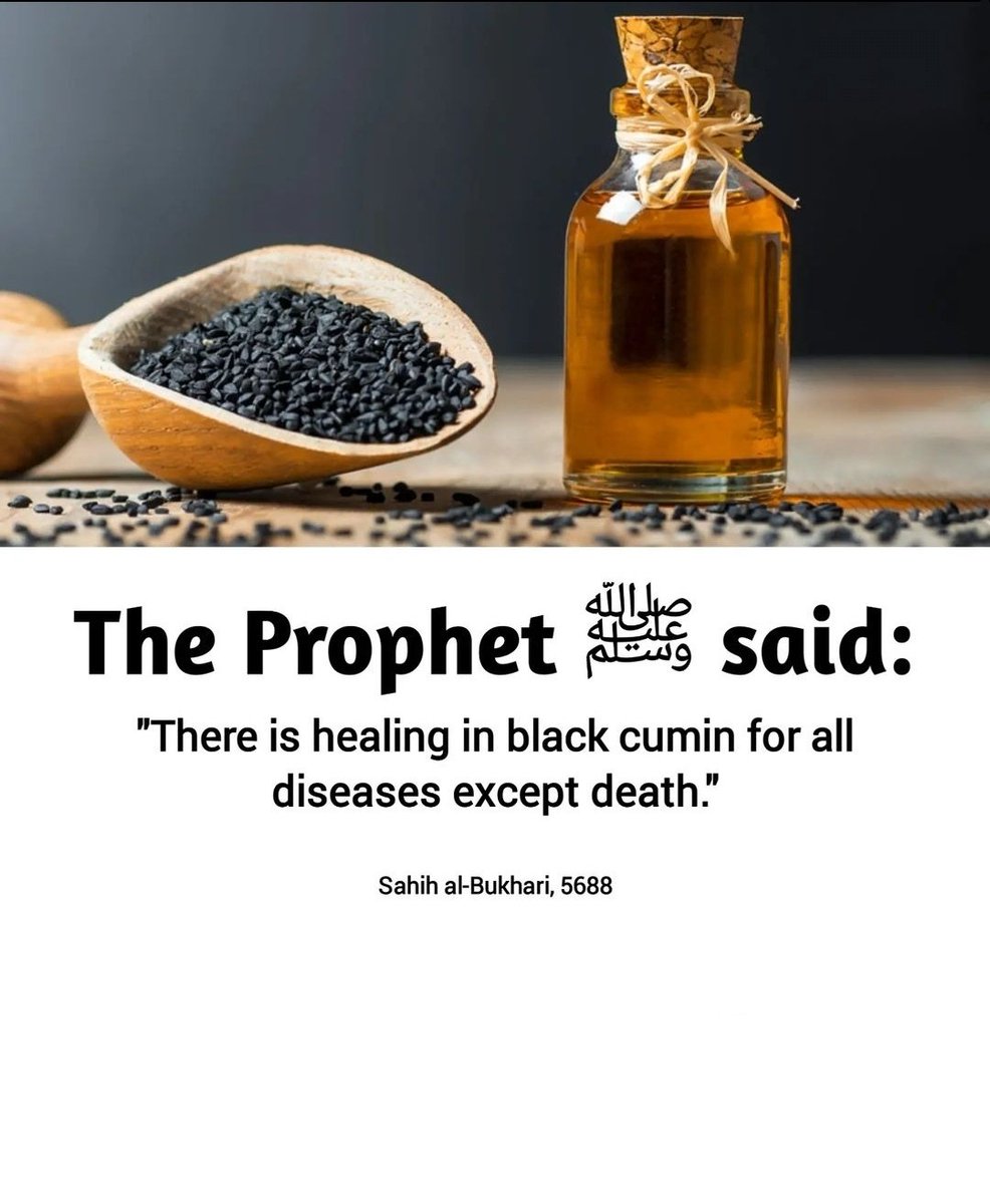 Hadith of the day ✨