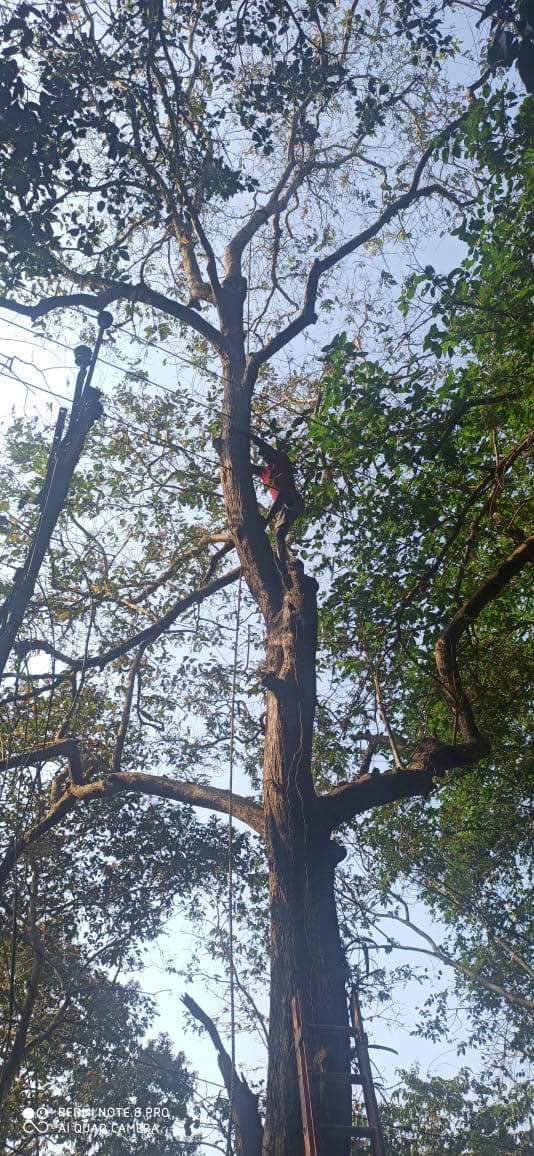ReginaldoGoa's tweet photo. Our work goes on , we just post few works as the rest we don’t need to post, our people know our work and know us, this work is taken up at Gogali to assist Electricty department #curtorimconstituencyfirst
@GoaElectricity
@SudinDhavalikar
@goacm https://t.co/KUcUEFZL0x