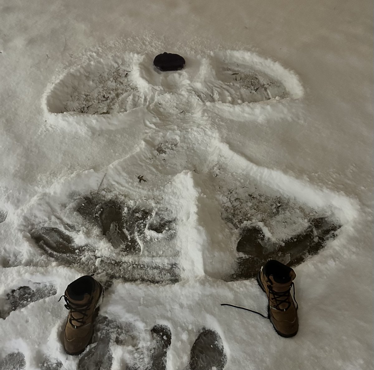 NWSMemphis's tweet image. Official NWS Memphis snow angle made at the office in a crisp 12 degrees!🌨️🥶  #itscoldout