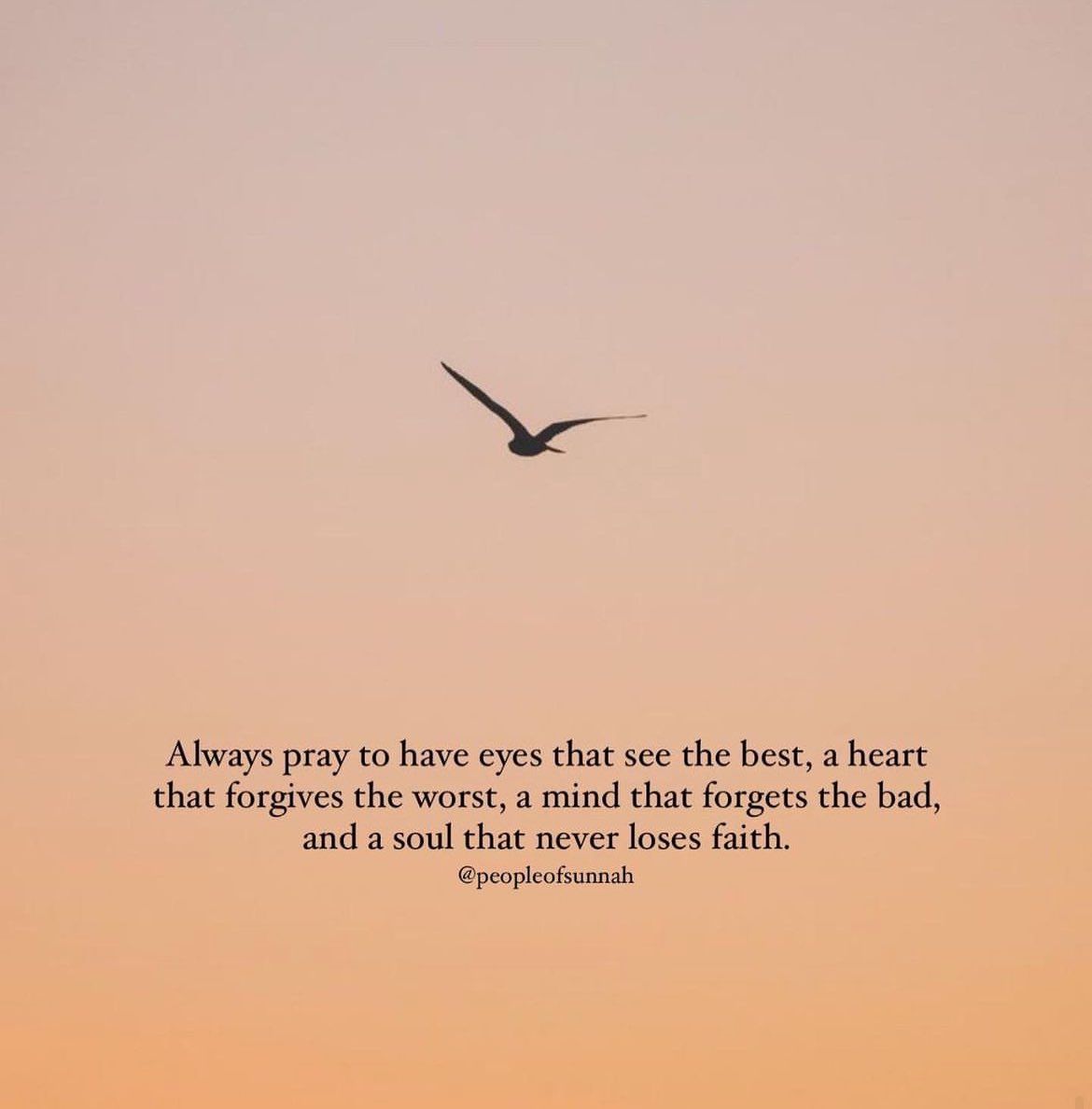 essraa_khamis's tweet photo. Amen 🕊️. Good Morning
صباح جميل بإذن الله
#اللهم_بك_اصبحنا 🌷 https://t.co/SSuW7FOnIu