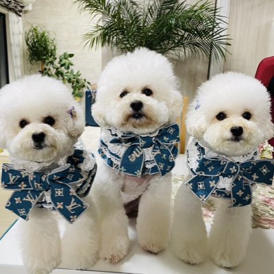 putanchi's tweet photo. #新しいプロフィール画像 https://t.co/21MeLZUhL2