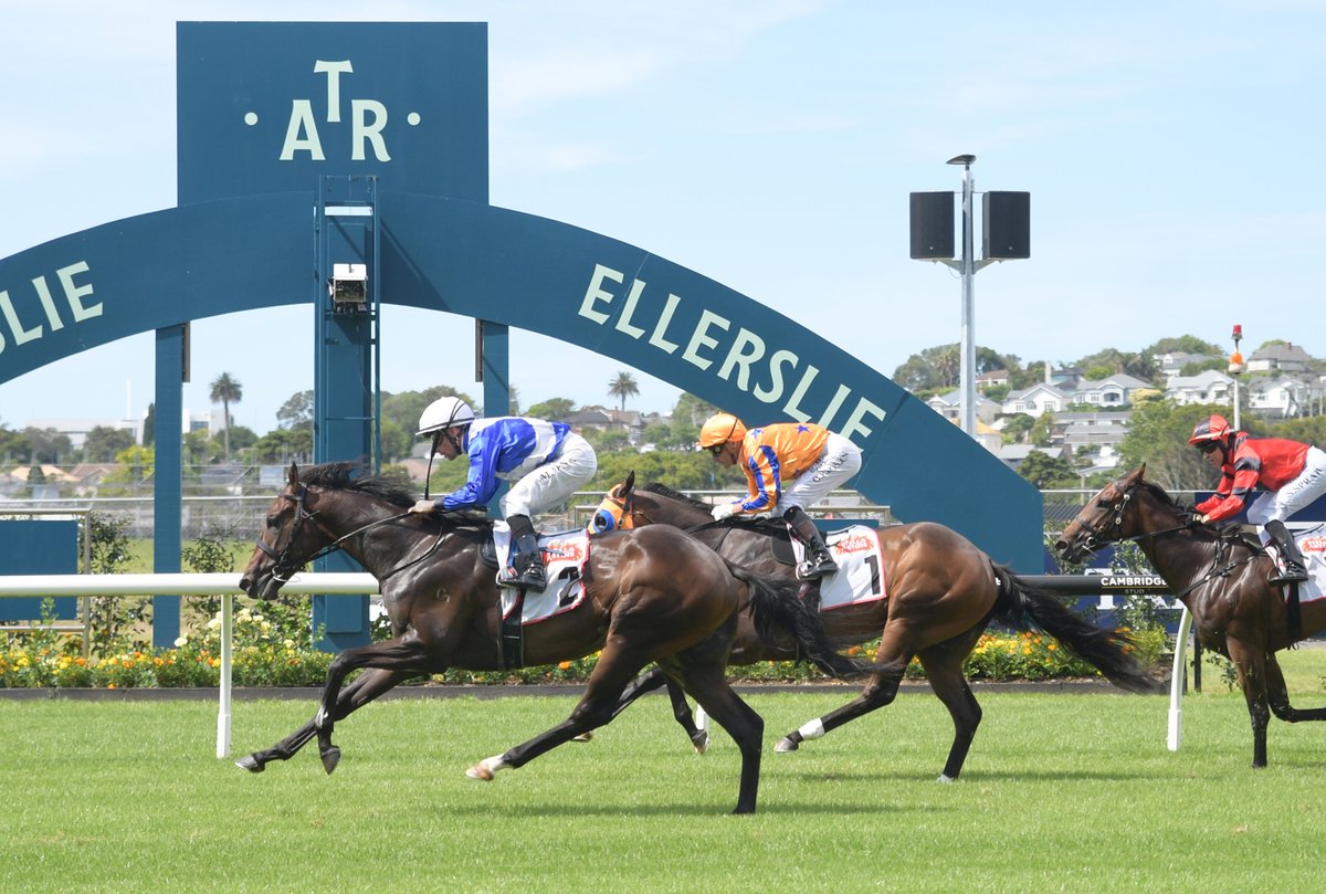 KarakaChat's tweet photo. Sunday’s $45,000 Stella Artois 2YO (1200m) at Ellerslie confirmed a spot in the $1m TAB Karaka Millions 2YO (1200m) field for three talented juveniles, headed by the impressive winner #SoNaive (NZ) (U S Navy Flag).🎉
Sunday’s race was the final opportunity to earn prize-money and move up the order of entry for the TAB Karaka Millions 2YO, which will be run at Ellerslie in less than two weeks’ time. This race has been used as a stepping stone to Karaka Millions glory by previous winners #Avantage (Fastnet Rock) and #OnTheBubbles (Brazen Beau).😎
“He has got to be a chance in the Karaka Millions. He has won at the track and he is a nice, strong horse and he will handle the couple of weeks into it."
So Naive was a $37,500 purchase by trainers Bruce Wallace and Grant Cooksley at Karaka 2023, where he was offered by Kilgravin Lodge in Book 1. He has now had three starts for two wins and $63,000 in stakes, putting him in fourth on the Karaka Millions order of entry behind #BellatrixStar (Star Witness), #BeauDazzler (NZ) (Ardrossan) and #Velocious (Written Tycoon).🤝
Read more 📰:https://t.co/9LcNOHDRgP
#WhereWinningBegins✨