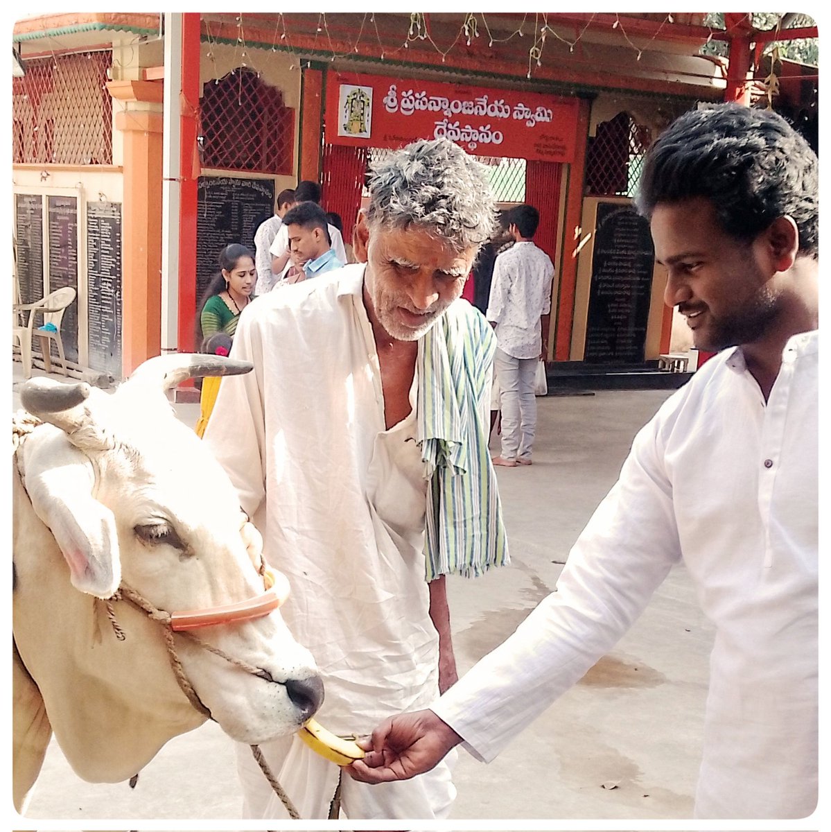 GNavinVasudev's tweet photo. మీకు మీ కుటుంబ సభ్యులకు మకర సంక్రాంతి శుభాకాంక్షలు!🌾
आपको और आपके परिवार के सदस्यों को संक्रांति की शुभकामनाएँ!🌾
Happy sankranthi to you an yours members!🌾

#HappySankranti #HappyPongal2024 #HappySankranthi https://t.co/H6rtZWSZM1
