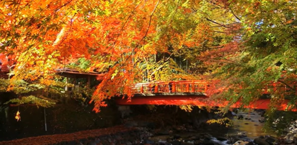 hanyax (はにゃっくす) tweet media