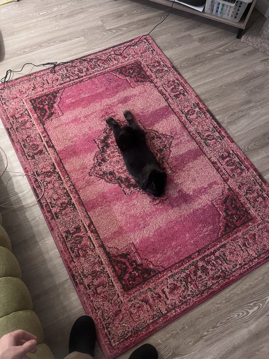 audiohymn's tweet photo. just make yourself comfortable i guess https://t.co/30xZFCI3X7