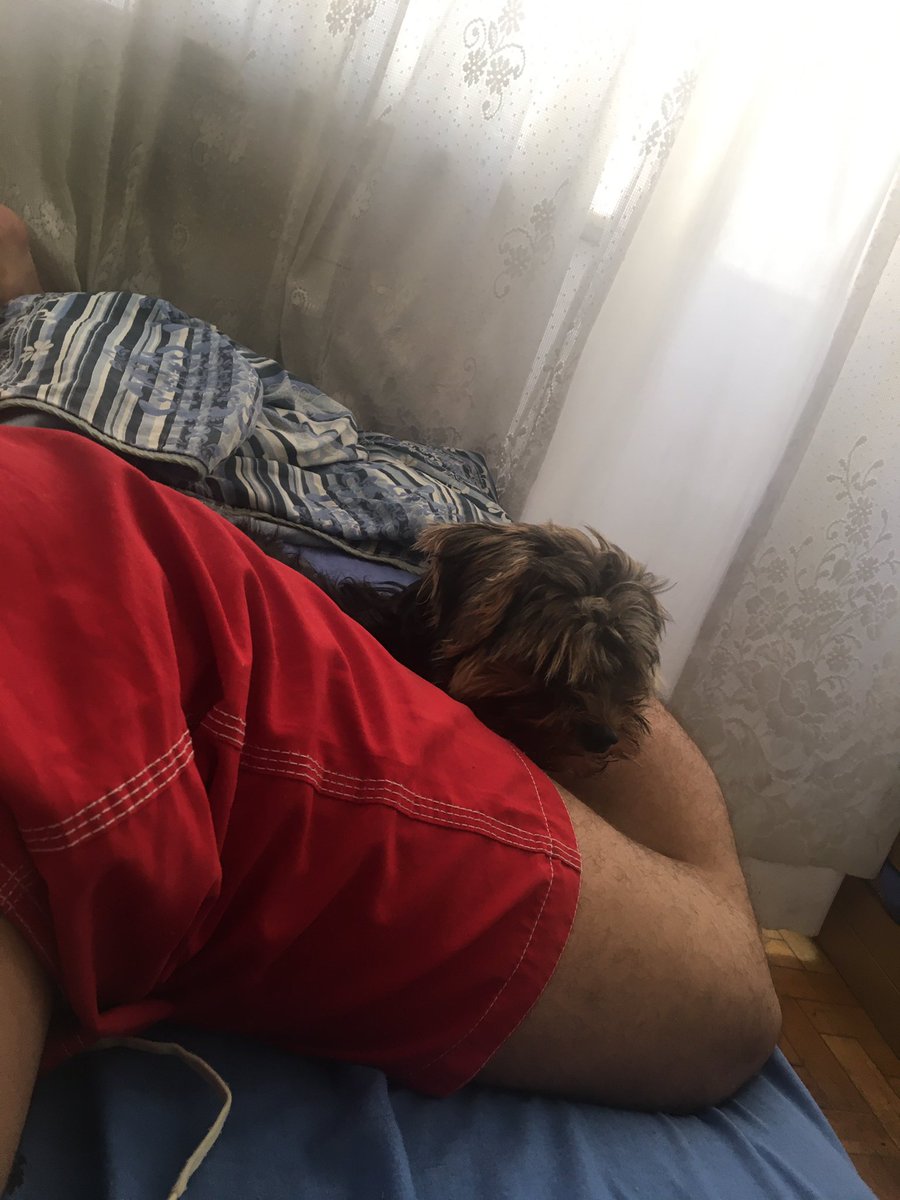 euSou_Ath's tweet photo. Indo dormir com a Lolotte perto di mim https://t.co/ZcjiaOWWQT
