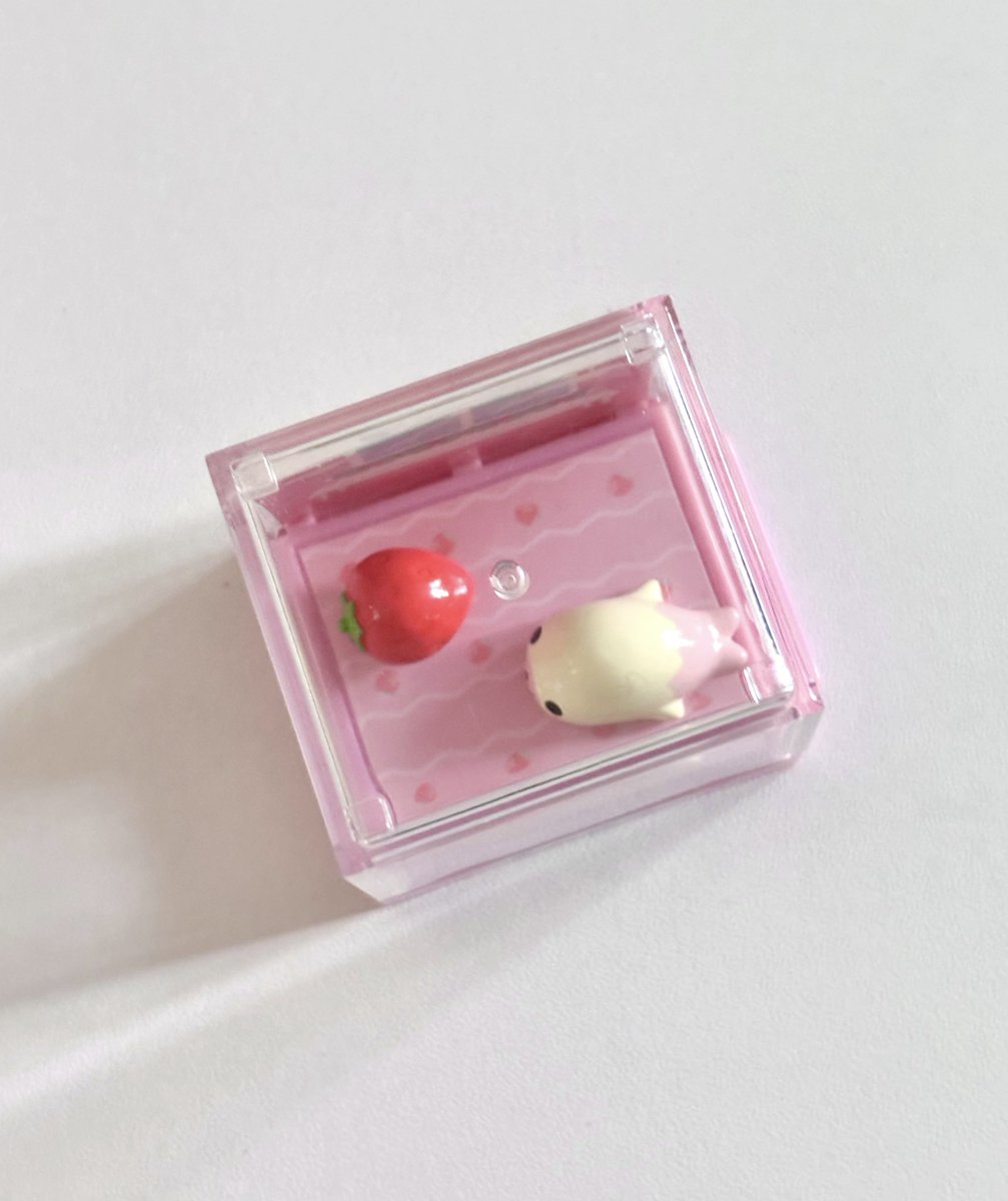 fuxkkoopp's tweet photo. 마메고마리움 🍓 https://t.co/iSoHatlGjY