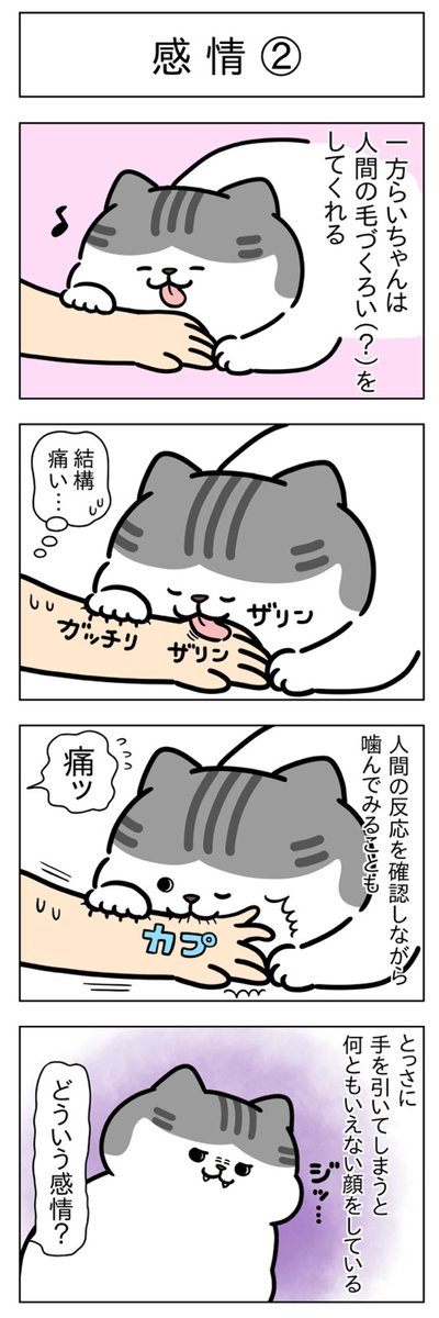 感情①②│フェリシモ猫部 