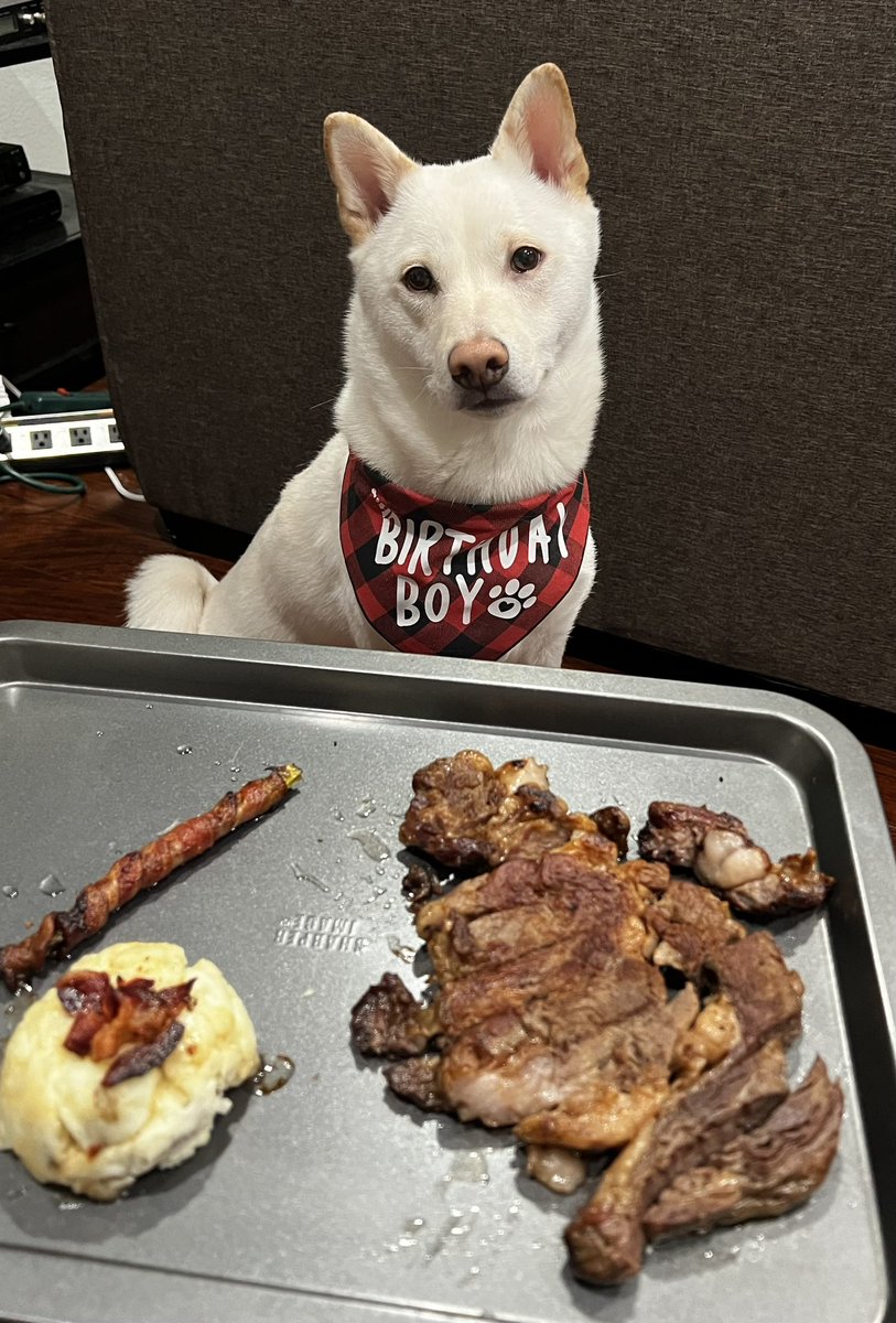 It’s the BEST BOY’S Birthday today! Happy 2nd Birthday Gojo 🎈