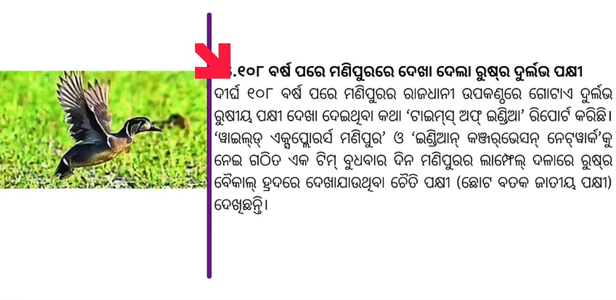 tanmayaT's tweet photo. Today short news updates on 15 Jan 2024 clip-5
#india #odisha #odia #viral #video #shorts #image #news #updates #OFDC #requirment #CBT #indian #conservation #Manipur #bird #GPC #chin #America #ICEA https://t.co/cju4PySNjc