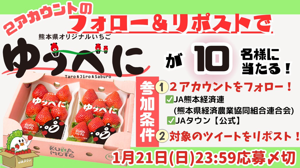 JA_JAtown's tweet photo. 🍓ー🍓ー🍓－🍓－🍓

1月15日は「イチゴの日」

🍓ー🍓ー🍓－🍓－🍓

イチゴの日記念🎉
熊本県産の苺「#ゆうべに (250g×2P)」が抽選10名に当たるじぇ〜🎁
1️⃣@jakknikoyaka と @JA_JAtown をフォロー
2️⃣この投稿をリポスト

詳細👉https://t.co/8zdwv0EfSo
〆切👉2024/1/21迄

#JAタウン #JA熊本経済連 https://t.co/HiRGLtR5RO