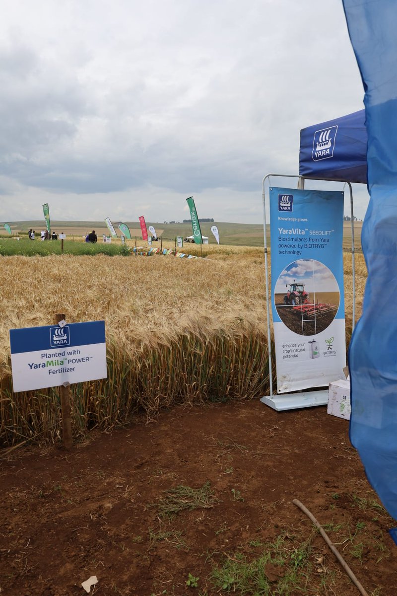 Such collaborative efforts allow us to learn what farmers need, and provide them knowledge on
crop nutrition that helps improve their yields.
We believe that together, we can achieve a #NaturePostive #FoodFuture.
#MboleaNiYara #KnowledgeGrows