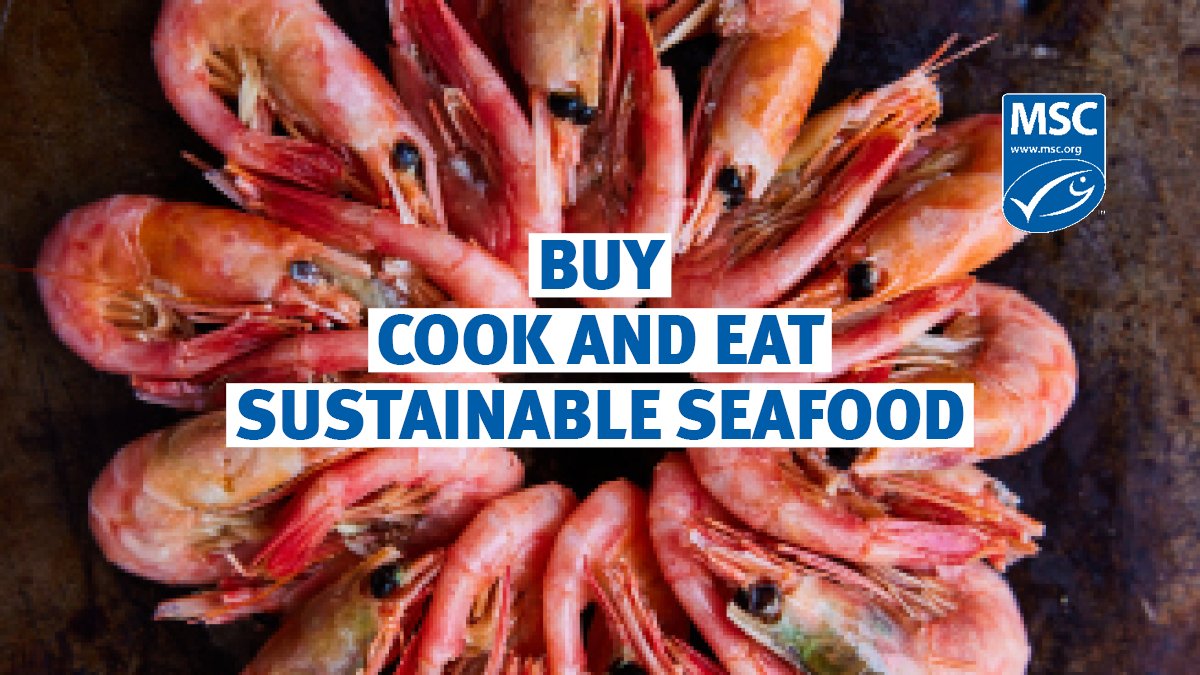 MSCecolabel's tweet photo. 🛒🐟 Get stuck in! Enjoy some guilt-free #SustainableSeafood with our new, FREE #OceanCookbook https://t.co/FHASCze7GS
Why buy, cook and eat sustainable seafood? Because fisheries certified to the #MSCstandard use sustainable fishing methods & best practice🙌
📸 David Loftus https://t.co/yPYg2r8eUR