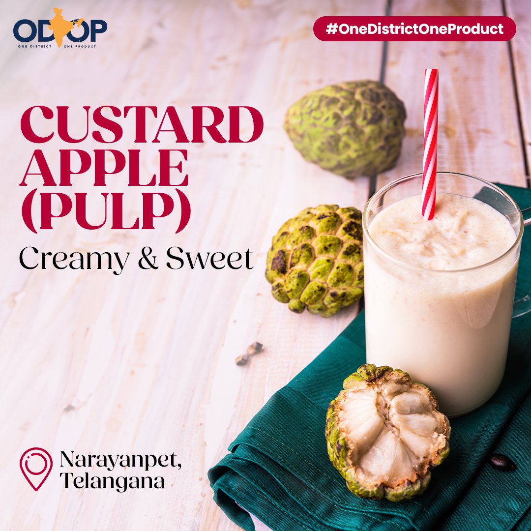 Popularly known as #Sitaphal, #CustardApple (Pulp) from Narayanpet, #Telangana is a delicious fruit, rich in antioxidants, vitamin C, and fibre.

Know more at bit.ly/II_ODOP

#InvestInTelangana #InvestInIndia #ODOP #InvestIndia #OneDistrictOneProduct