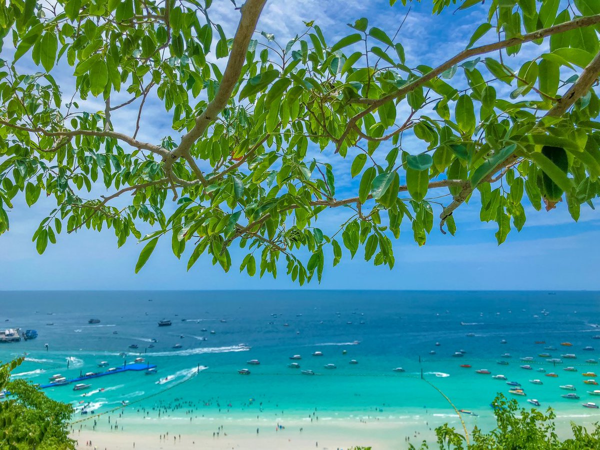 Travelbook_cojp's tweet photo. 常夏のタイへ旅行するなら、観光だけでなく海にも出かけてみませんか？🇹🇭🏖️
今回はバンコクから飛行機に乗らずに行けるビーチリゾートを特集！「パタヤ」での楽しみ方を主に紹介しています♪ショッピングやグルメ、スパ、ショーなど、楽しみが盛りだくさん🛍️🍽️
▼今からタイへ
https://t.co/YUKuqGdGMB https://t.co/3O33HfbPz1