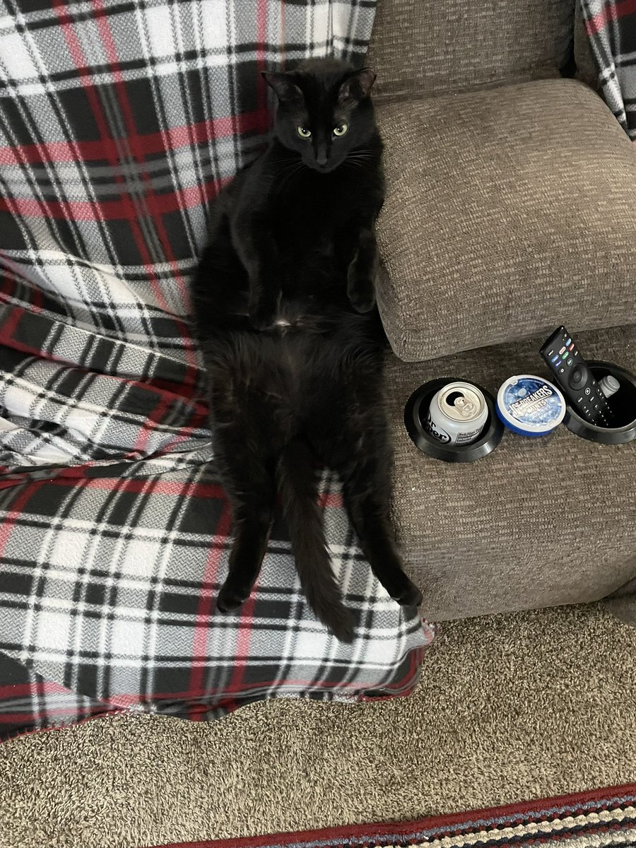 My hooman said this wasn’t the way kitty females sit. I tried telling my mum it was comfortable. I’m monster