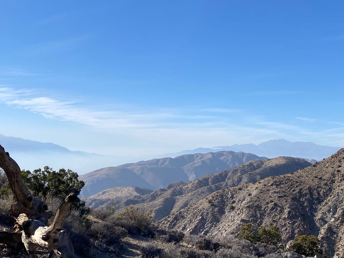 hamsanandi's tweet photo. #JoshuaTreeNP https://t.co/1fCU0qBaR6