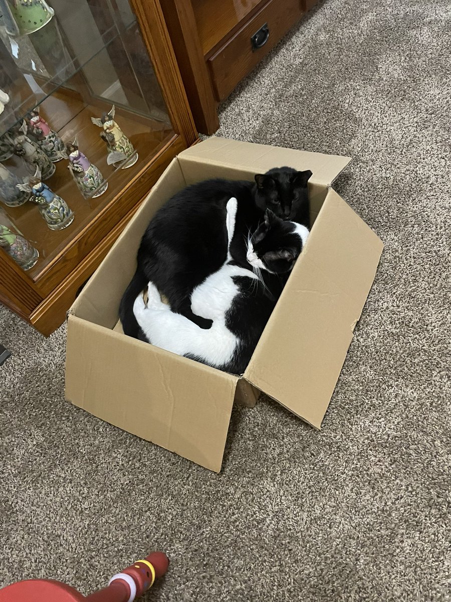 This is what I call love. Monster and Charlie sleeping