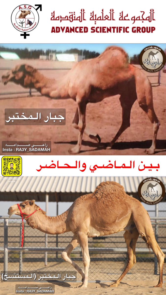 ASGroup_1990's tweet photo. #جبار_المختبر .. بين الماضي والحاضر https://t.co/rvkpmPVxqM