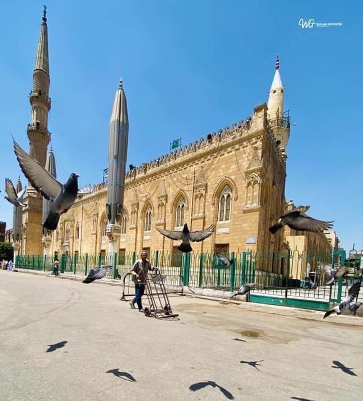 عبد الله سند جمعه عبد الكريم tweet media