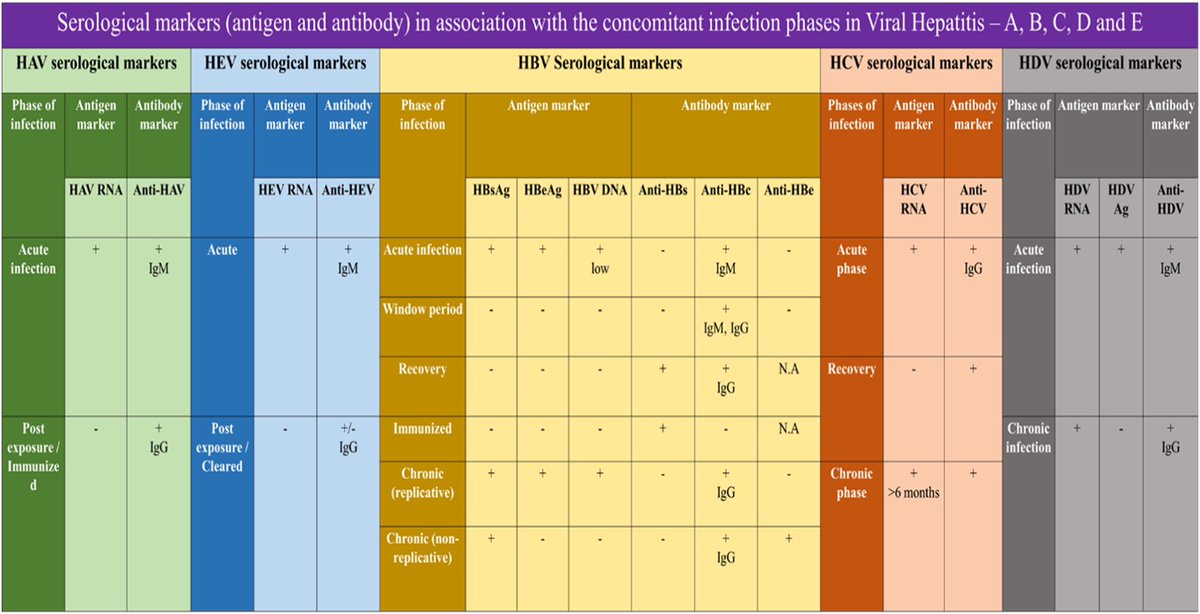 En #DiagClinMicrobiolDis REVISIÓN 📚🤓 sobre #Diagnostico en #HEPATITIS virales y estrategias #futuras  🔮
Aporta Tabla📸👇🏻para diagnóstico con marcadores serológicos de:
🟢VHA🔵VHE🟡VHB🔴VHC🌑VHD
🔗 sciencedirect.com/science/articl…