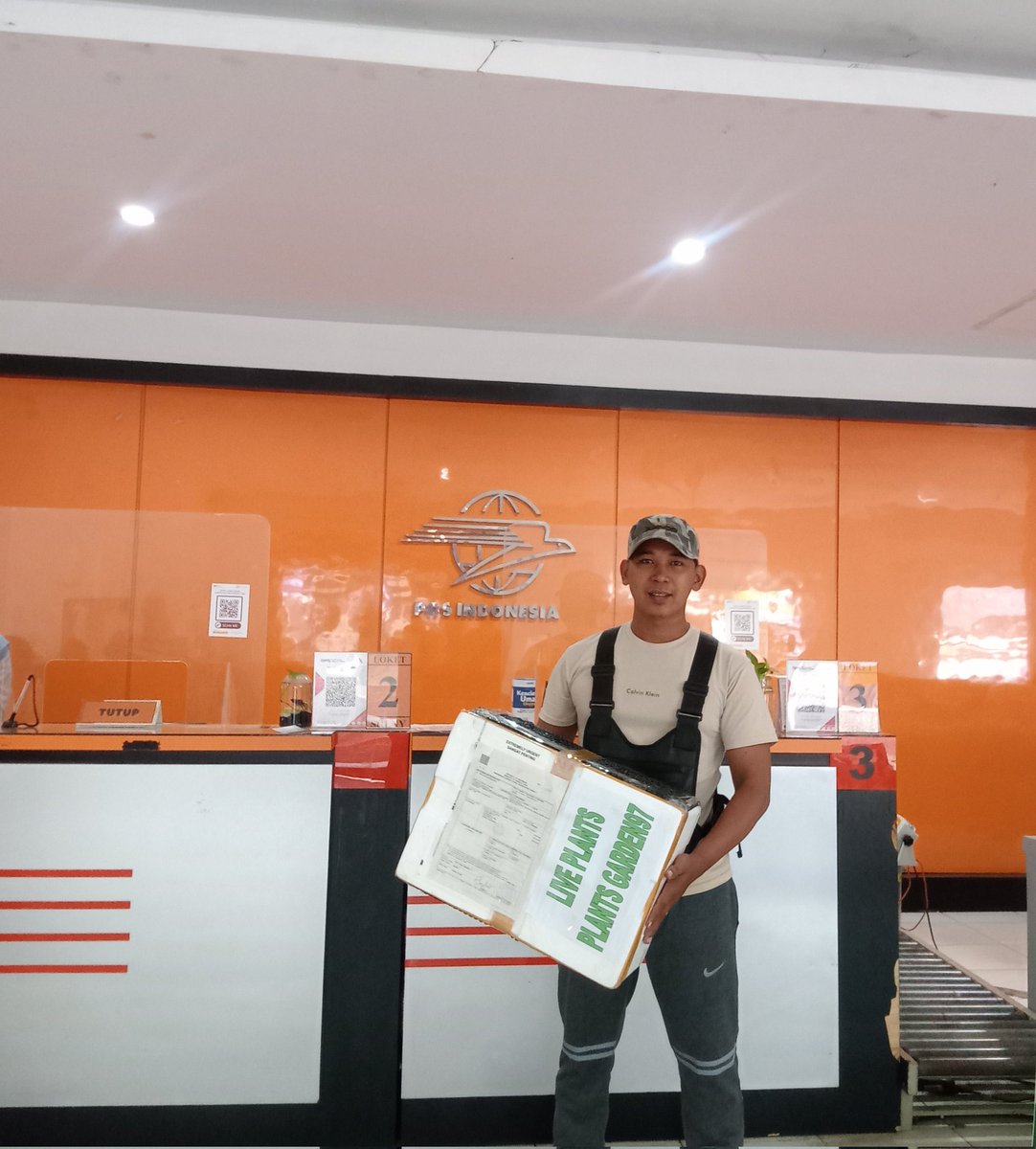 plants_garden97's tweet photo. Shipping to Japan 🇯🇵 🛫🛫🛫
#aglaonemapictum
#homalomena
Thank you for trus me 😊🙏
#goexport https://t.co/h5fpVpJEdD