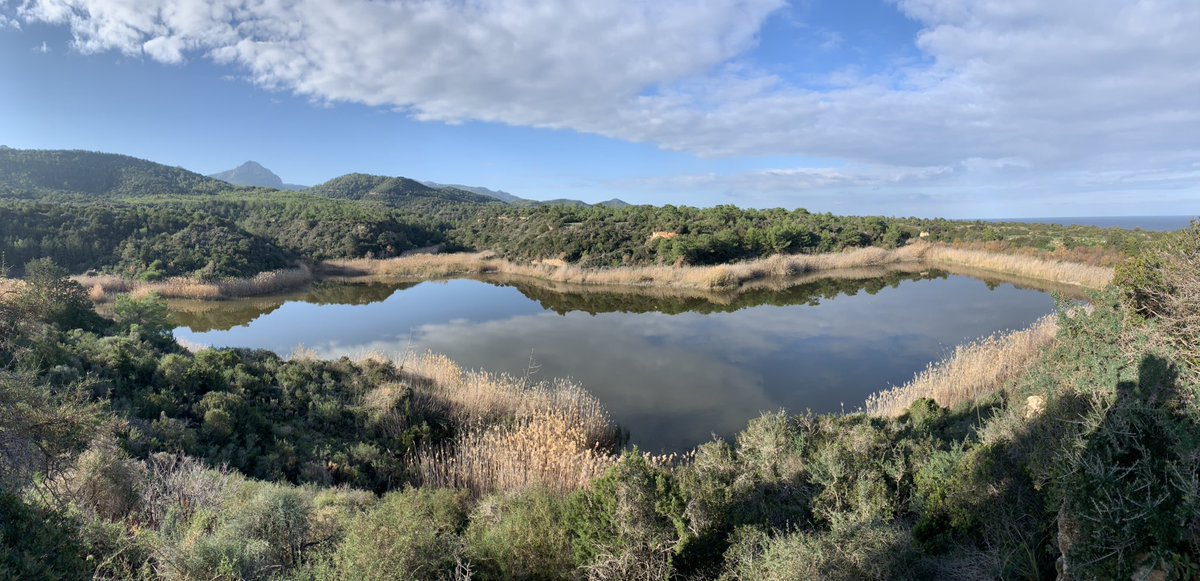 Kuşkor tweet media
