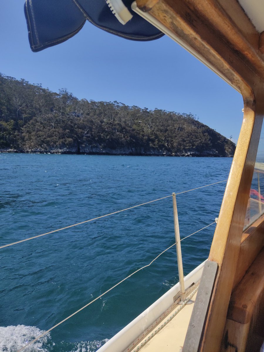 Just sailed back home from a folk festival which had a sea shanty afternoon and now I wanna write some shanties based on <a href="/BSG_DREDGE/">DREDGE</a>