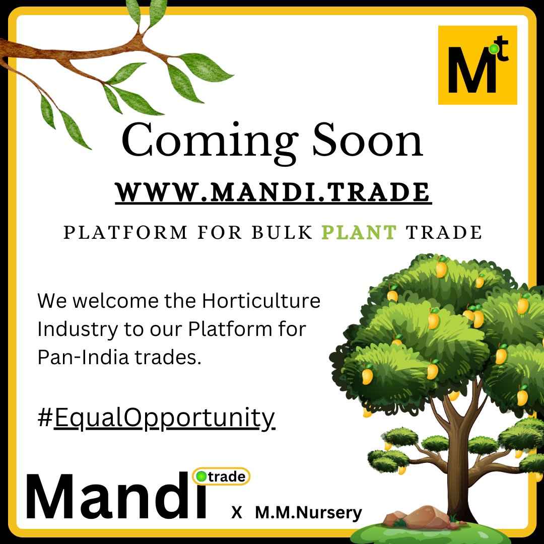Mandi t (@MandiTrade) / Posts / X