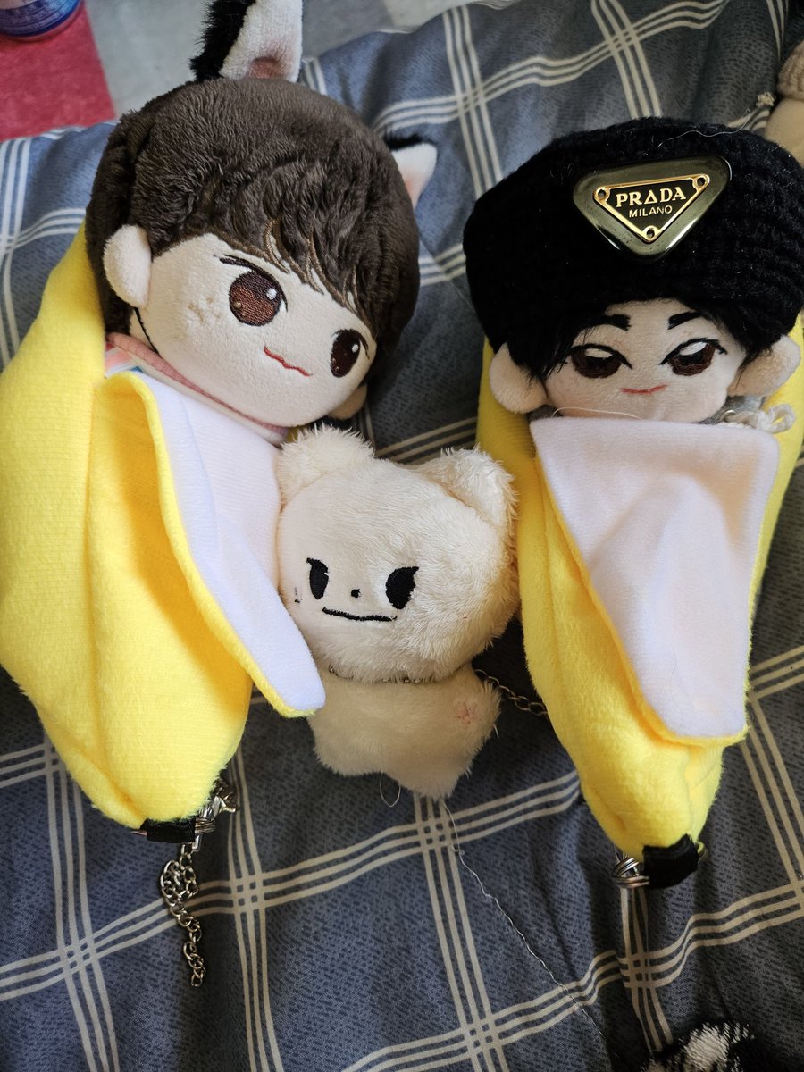 Hyun_빈이의우주💜(알콩,달콩ㅡ일반입금오픈) tweet media