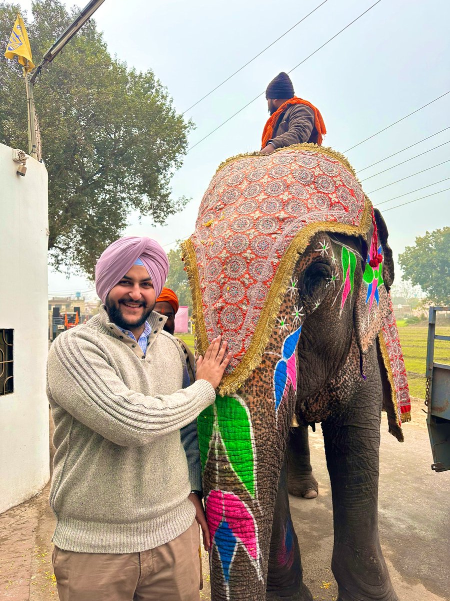 Now If i was to tell you about what the elephant whispered to me, that made me laugh, I wouldn’t have an elephant for a friend , now would i? #wiseoldfriend #haathimerasaathi