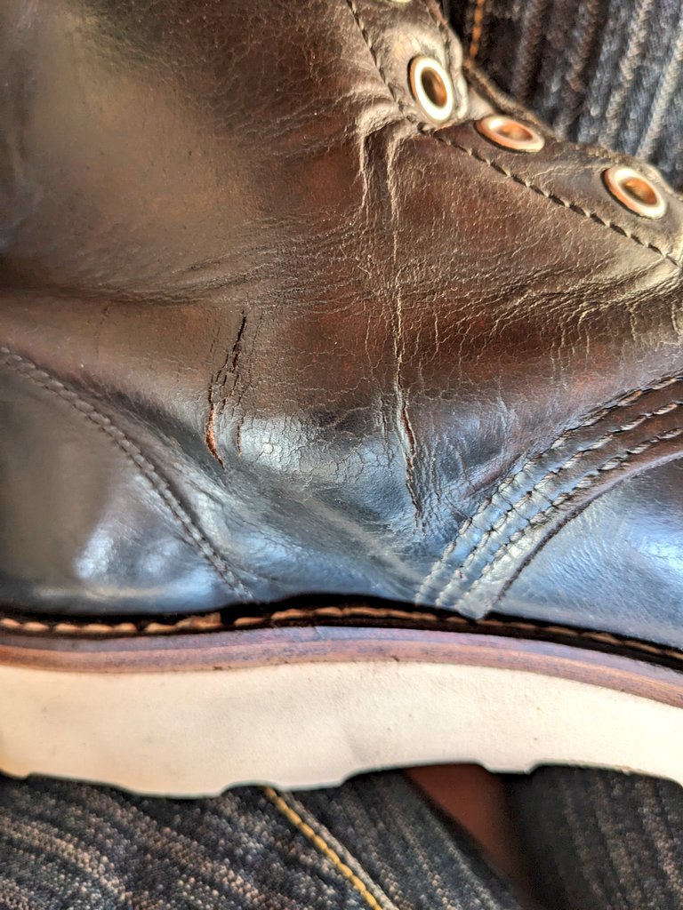 kamesekiryu's tweet photo. ブラッシングとかしててもコレかぁ…
左を内側から押すと割れ？裂け？
クロンダイクの手入れよー判らんな

他にも急に裂け出てきたな🤔 https://t.co/07ZSazcKk8