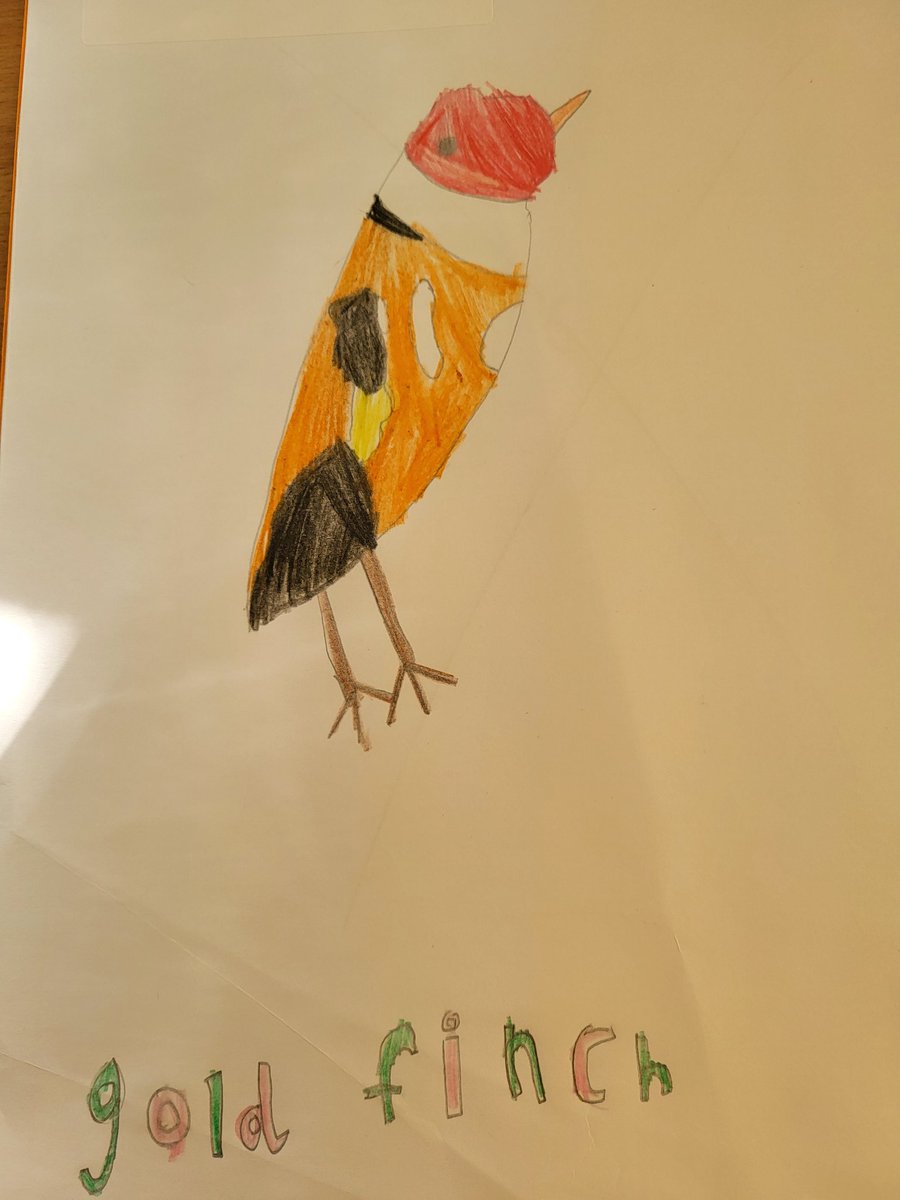 Dosbarth Ebwy drew their favourite birds. They took pride in adding details and colours to produce some fabulous pictures! #rspb <a href="/URPSEbwy/">Dosbarth Ebwy URPS</a> <a href="/UpperRhymneyPS/">Upper Rhymney</a>