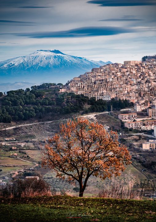 Come sconfiggete il 'lunedi' più triste dell'anno'? Raccontateci la vostra strategia! Vi suggeriamo di organizzare la vostra prossima vacanza in #Sicilia! 👉visitsicily.info 📸Filippo Barbaria #visitsicilyinfo #BlueMonday #sicily #sicilia #Gangi #etna #volcano #unesco