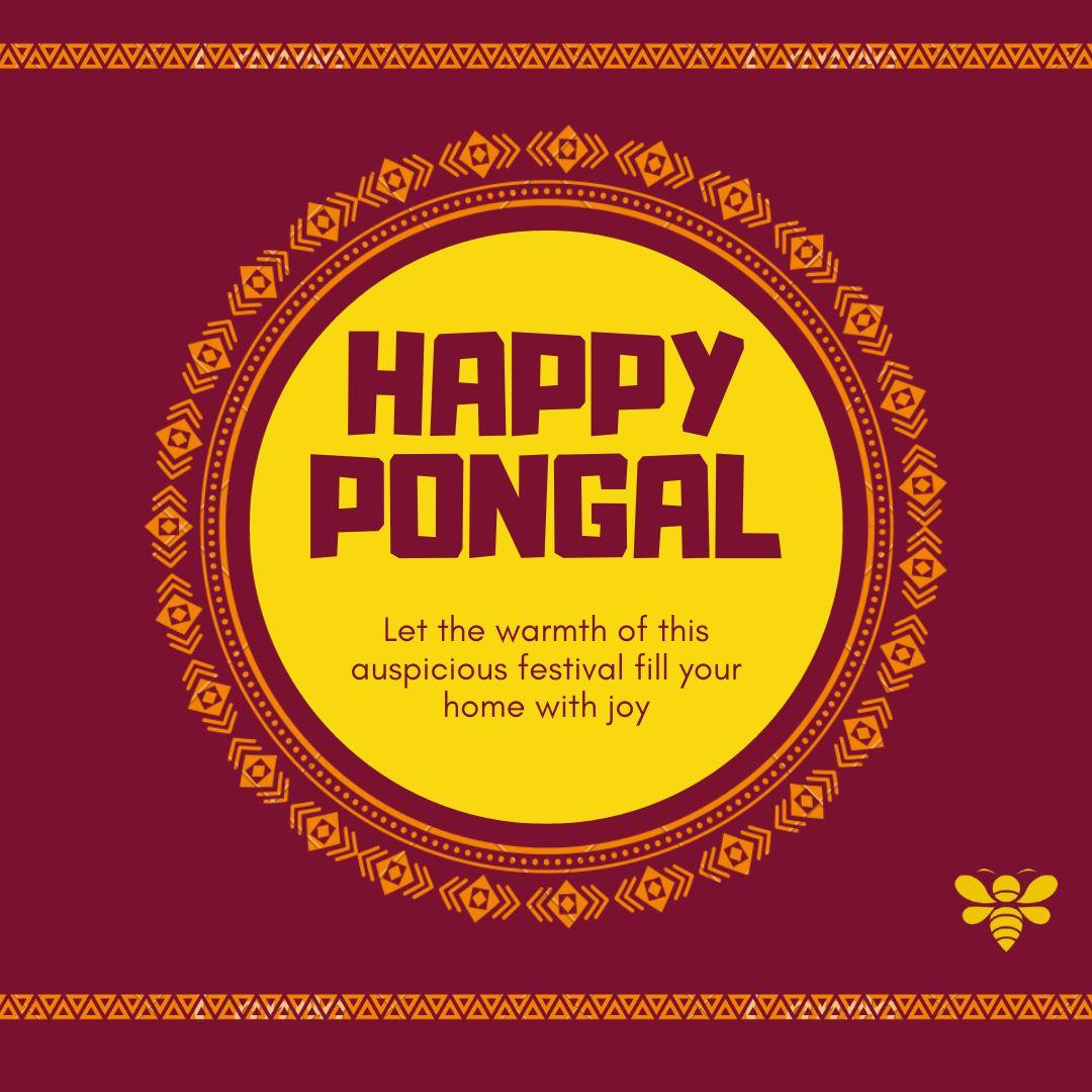 fueepz's tweet photo. Happy pongal to all my subscribers and followers who are supporting us to grow. https://t.co/MgOJz2ffM6