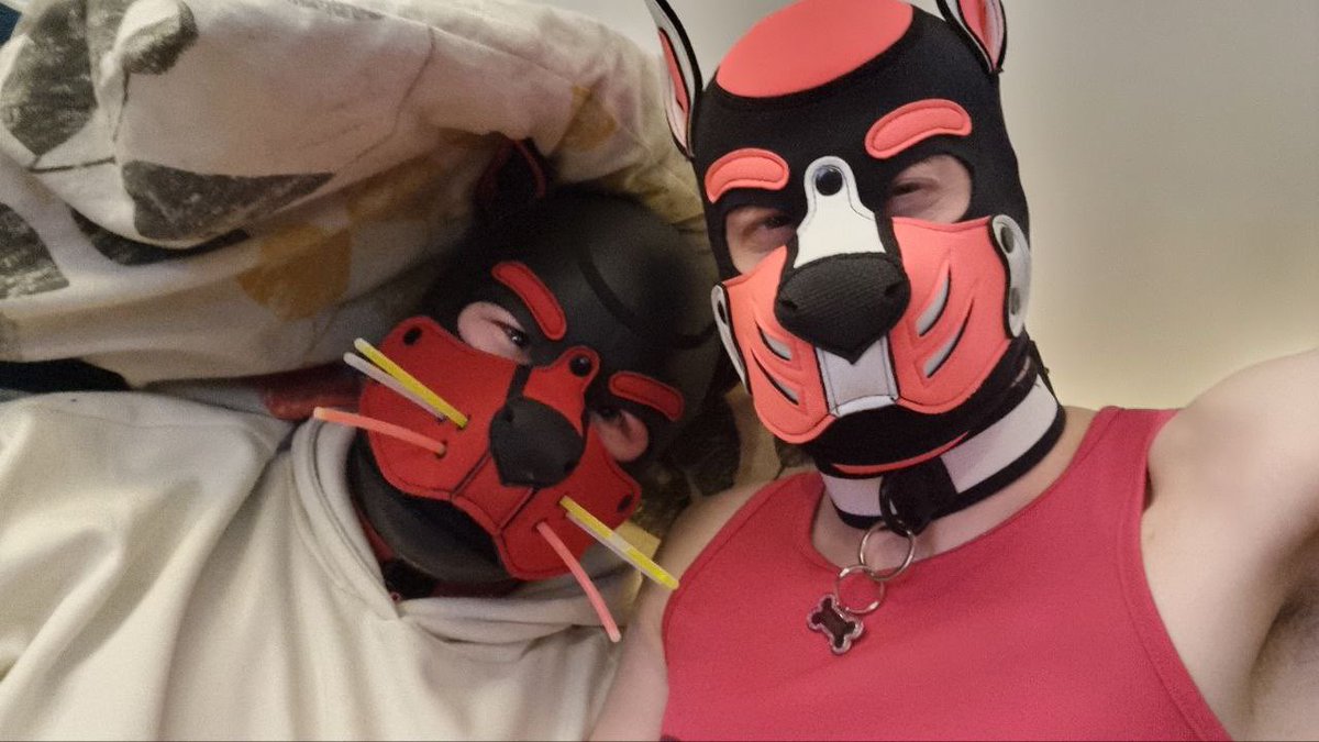 Had an amazing weekend <a href="/ThePuppermint/">Polo_The_Puppermint</a> Thankyou for having me and <a href="/puppyboiEcho/">ECHO ! :3</a>. Also.. Alpha <a href="/ukpup_Jager/">PuP - JaGeR 🔜 Berlin Anamalz</a> gave me whiskers!!!!