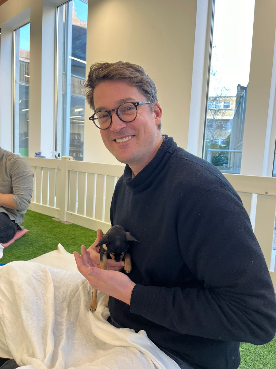 HoltArch's tweet photo. Some of the Holt Architecture team had the chance to play with pups at work this week, thanks to Paws in Work! A great initiative which combines puppy therapy with puppy socialisation to give them the best start in life. We can't wait for the next event!

https://t.co/yv66X6MdLs https://t.co/uz20IlcZsN