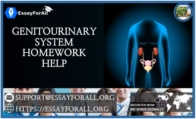 ESSAYFOR_ALL's tweet photo. Genitourinary System Homework Help: Essay For All
https://t.co/NOHF4K1aVA
Register for our online genitourinary system nursing assignment help
#essayforall #assignmenthelp #nursingassignment #nursinghomework #helpwithassignment #courseworkhelp #domyhomework #nursinghomeworkdoer https://t.co/8Qqa5OSmhv