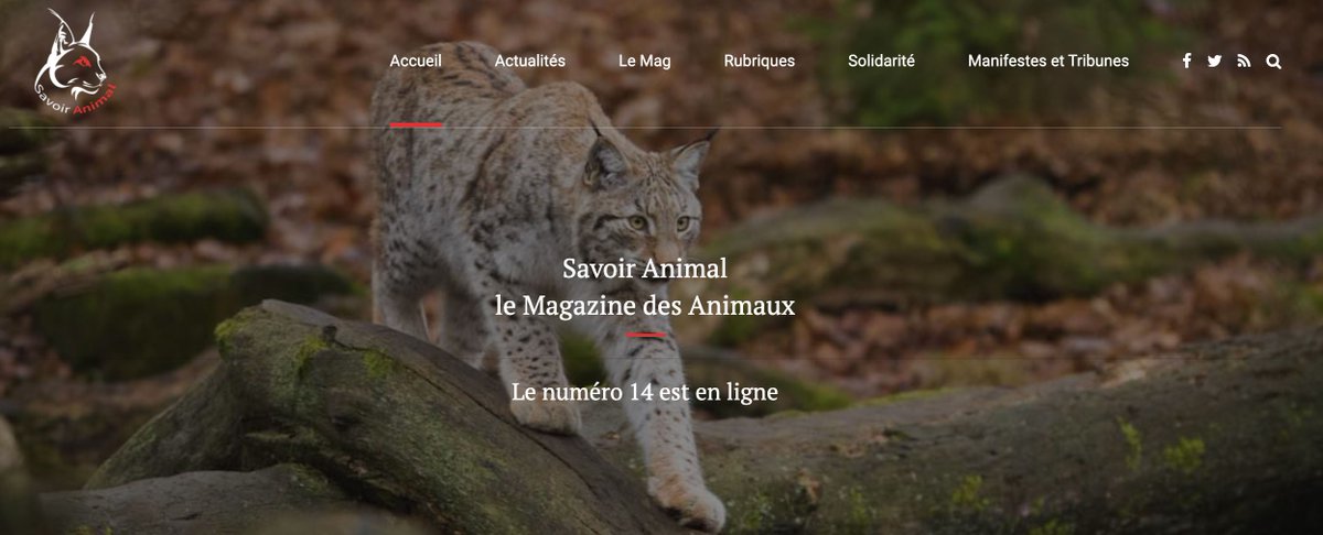 Le Numéro 14 du Mag-Web Savoir Animal est en ligne Merci à Roxana Popa, webmaster, et aux contributeurs. Bonne lecture à vous.