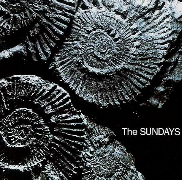 Shiiine On tweet media