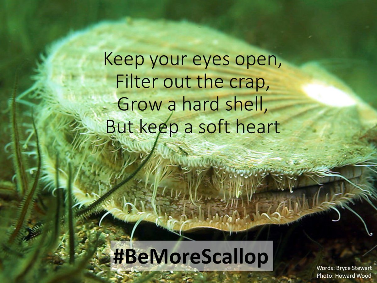 BD_Stew's tweet photo. @tomjwebb This is my guide to any crisis. Good luck! #BeMoreScallop https://t.co/6wtloSb2Qa