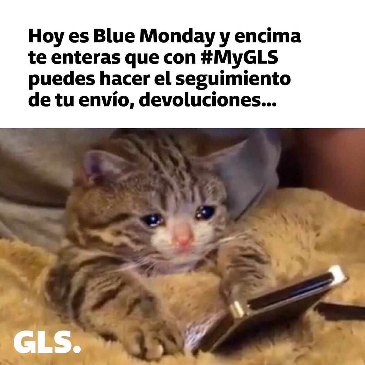 Cuando tu amiga la positiva quiere ayudarte a superar la depresión del #BlueMonday y hacerte feliz descargándote la app #MyGLS 💙  👉 bit.ly/AppMyGLS #GLSSpain #ParcelstoPeople