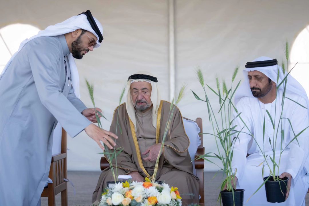 الصورة