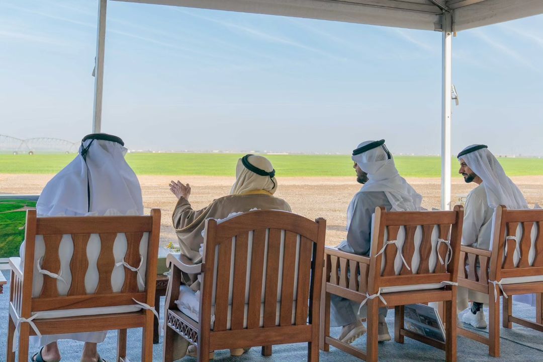الصورة