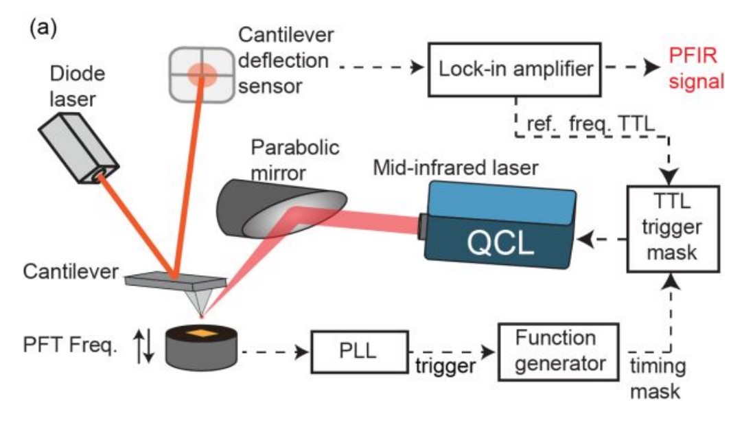 MikroMasch's tweet image. Lock-in amplifier based Peak Force Infrared Microscopy method is developed that simplifies the design of the original PFIR. Measurements are performed using our HQ:NSC15/Pt AFM probes.
#AFMprobes #AFM #AtomicForceMicroscopy
pubs.rsc.org/en/content/get…