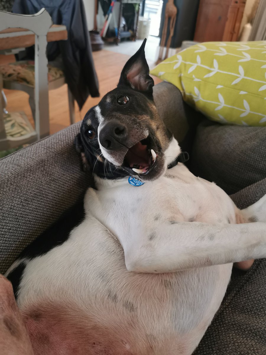 Going to go live at 16h00 GMT+2 today ✨ See you later!