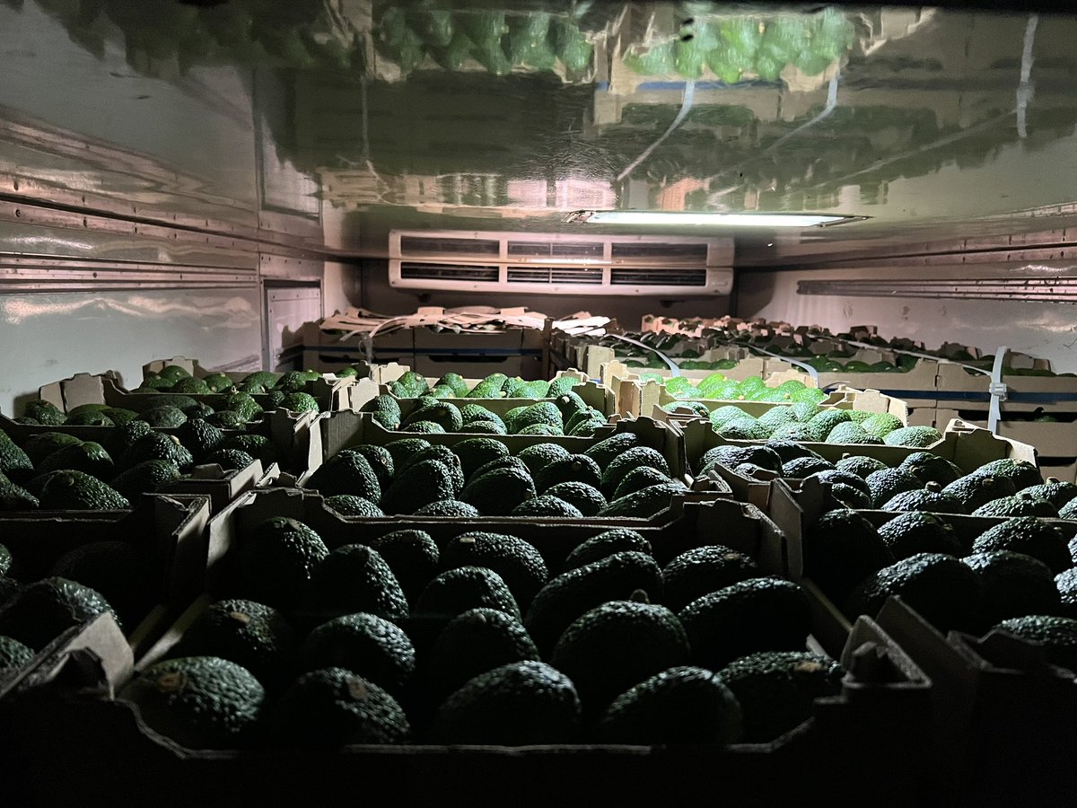 #nanineavocado
#theseasonison
#hassexports