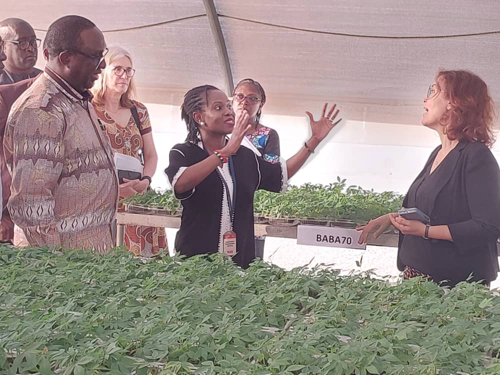 elomercy's tweet photo. Excited to showcase to the CGIAR EMD Dr Ismahane Elouafi,  the SAH technology,  an innovation that has revolutionised seed systems for VPCs in Africa. The roles of the breeding and the IITA BIP as a conduit to drive  delivery @CGIAR @IITA_CGIAR @CGIAR_EMD @jamesplegg https://t.co/Dd22080Xxu