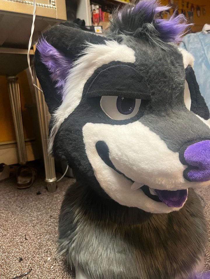 Catboy Malewife 🔜 FC 25’ tweet media