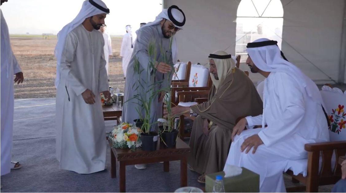 الصورة
